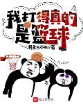 我打得真的是篮球