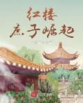 红楼:庶子崛起