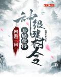 网游三国:开局获得神级建村令