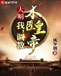 大明:我,调教木匠皇帝