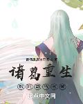 诸葛重生,熬死司马老贼