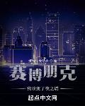 赛博:3智力的我肉体有亿点点强