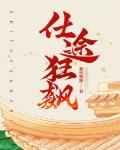 仕途狂飙