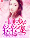 暖婚似火:顾少,轻轻宠