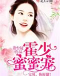 霍少蜜蜜宠:宝贝,你好甜!