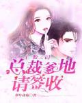 一胎三宝:总裁爹地请签收