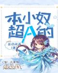本小奴超A的