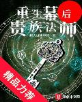 重生幕后贵族法师