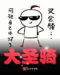 美漫世界大圣骑