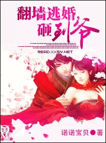 ��ǽ�ӻ飬�ҵ�ү